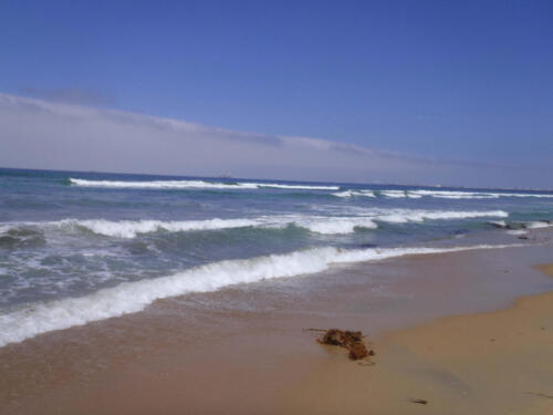 beach