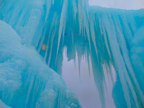 SAMSUNG CAMERA PICTURES